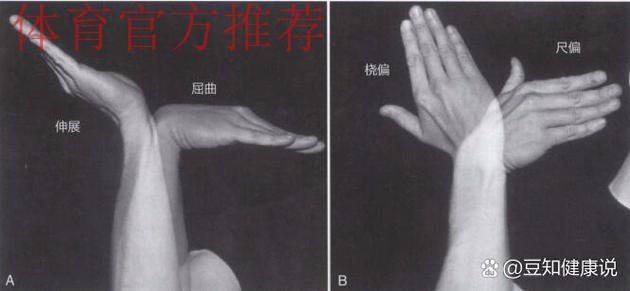 Siegel：康查尔左手拇指尺侧副韧带撕裂，三周后复查